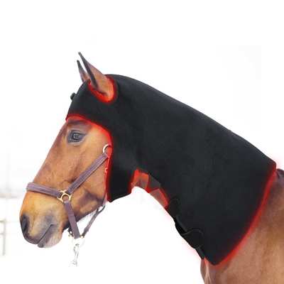 ซื้อ เครื่องบำบัดด้วยแสงอินฟราเรด Horse Lamp Pdt Led Light Machine สำหรับการกำจัดความเจ็บปวด การผลิตออนไลน์