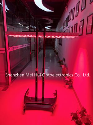 ซื้อ แผนการรักษาแสงแดงความยาวคลื่น Led Fitness ครบร่างกาย การผลิตออนไลน์