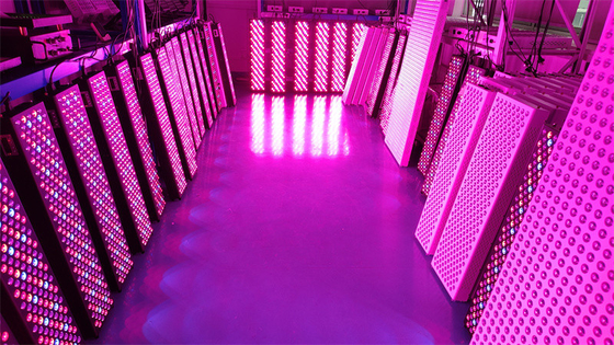 ซื้อ แผงบำบัดด้วยแสงสีแดงทั้งตัวกำลังสูง 1000W พร้อมช่วงความถี่ 50Hz-60Hz และมุมลำแสง 60° การผลิตออนไลน์