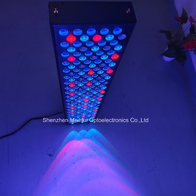 ซื้อ NIR Light Red Light อุปกรณ์บําบัดผิวหนังสําหรับใช้ในบ้าน 1000W สเปคเตอร์ 9 สี การผลิตออนไลน์
