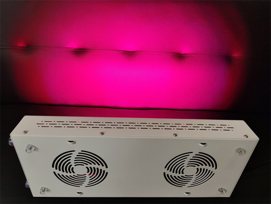 ซื้อ เครื่องดูแลร่างกาย 600w เครื่องรักษาแสงแดง เครื่องปรับปรุงสเปคตรัมสีแดง Nir สําหรับผิวหนังที่บริสุทธิ์ การผลิตออนไลน์