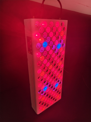 ซื้อ บ้าน ใช้ 8 ความยาวคลื่น ครบร่างกาย แผนบําบัดแสงแดง 600w การผลิตออนไลน์