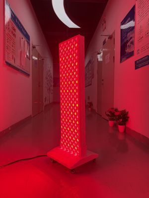 ซื้อ High Power 2000W Red + Near Infrared Light Panel – OEM Factory with Pulse Mode & Brightness Control การผลิตออนไลน์