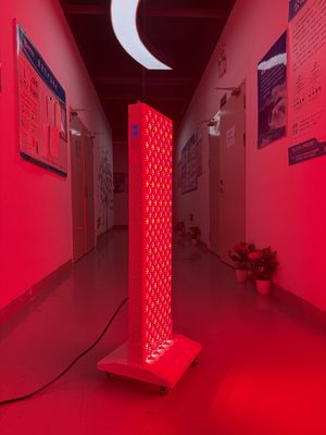 ซื้อ OEM Factory Supply 2000W Red Light Therapy Panel – 630/660/810/830/850nm Wavelength Options การผลิตออนไลน์