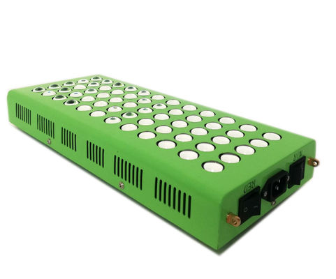 ซื้อ 300w 660nm 850nm การบำบัดด้วยแสงอินฟราเรดต่อต้านวัยสำหรับอาการปวดเข่า การผลิตออนไลน์