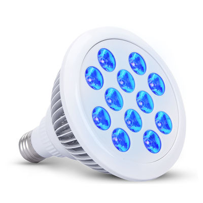 ซื้อ อาการตัวเหลืองในทารกแรกเกิด 660nm 850nm การบำบัดด้วยแสงสีฟ้าทางการแพทย์ที่บ้าน การผลิตออนไลน์