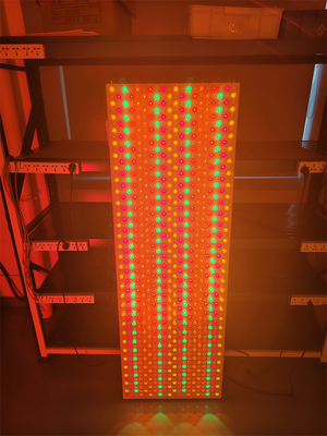 6000w ความยาวคลื่น 9 535 590 610 630 660 810 830 850 1060Nm แผนไฟ Led สําหรับร่างกายเต็ม