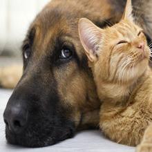 var forwardingUrl = "/page/bouncy.php?&bpae=GbhOt6sGokx797vvBclEkIpFEyZ9%2FC0cXqGfOWliUdlBNW8Y%2Fmrba8N6Hf6m7Id%2F7shqZClpPHxpSmmaD%2FLxOuXpSs7fNyco3k3sBEe2GrybHEZ9pScxfXos9xwgPa6EMgshy3vf44eQ7Nt7U0gWpcWqpr8BqK1QaqwOQZlChlKe1%2BwAi%2B2Ky9xAqJjyXRez0XElHUDQb7yonH3UYEWNLTp6qNGB%2BiP%2Fk9UtgstQzJDHwC0%2Fcjb9ItSGShZg0hIrKb5eXV2TyhIGCTKoLVNI6HL6ANYBpjWdpS9D%2BeEjuT6OLKaqLtwCz19XNpY8x8TAILeBowpgbIMVRid7YtZ23rFQ2v%2BKMhj5Qrs6OT6HFUtPSYem%2FVFrbfl77fVGAPsgWaha%2B5gDILm2N%2BUk7tkiIDnACQ%3D%3D&redirectTyp 4