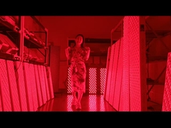 แผงบำบัดด้วยแสงสีแดง 3000w