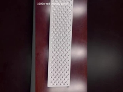 แผงบำบัดด้วยแสงสีแดง 1000W