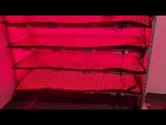 เครื่องสูญเสียน้ําหนักแบบ Custom 660nm 850nm การรักษาแสงแดง 120pcs