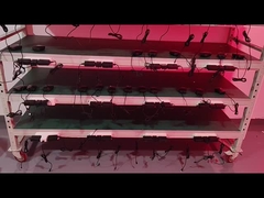 ผูกเข็มขัดการรักษาแสงแดง