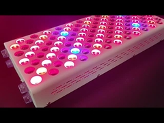 เครื่องดูแลร่างกาย 600w เครื่องรักษาแสงแดง เครื่องปรับปรุงสเปคตรัมสีแดง Nir สําหรับผิวหนังที่บริสุทธิ์