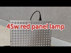 การรักษาด้วยแสงอินฟราเรด 50W ที่ป้องกันการแก่ตัว