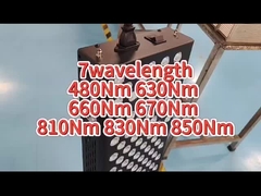 660nm 850nm AC Red Light Therapy Machine บรรเทาอาการปวดสำหรับใช้ส่วนตัว